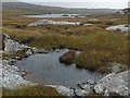 NG0589 : Moorland pool to the east of Loch Langabhat, Harris by Claire Pegrum