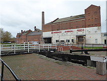ST2937 : Bridgwater - animal feed mill and canal lock by Chris Allen