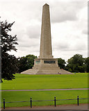 O1334 : Phoenix Park, The Wellington Monument by David Dixon