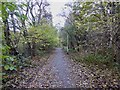 Bradwell Woods Greenway