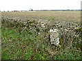 Milestone beside a stone wall