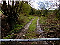 Public footpath near Ty Du Farm, Clyne