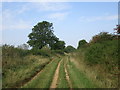 The drift near Saltby Heath Farm