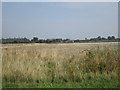 View towards Mere Barn Farm