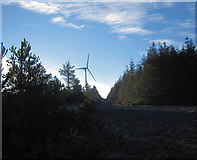 S8657 : Forest Track and Windmill by kevin higgins