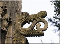 SK8572 : Crocodile grotesque, St Helen's church, Thorney by Julian P Guffogg