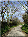 Lane east of Hardisworthy in Devon