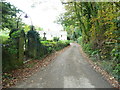 Lane at the churchyard gate, Crinow