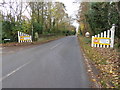 Looking west on Cuckfield Lane towards Warninglid