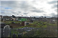 Allotments, Royston