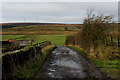 Access Track leading to New Moss Farm