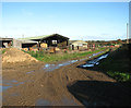 Cattle sheds at North Farm