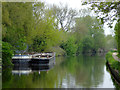 Canal near Coven Heath, Staffordshire