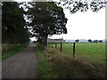 Track and Bridleway leading to Doe Hill Farm