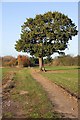 Footpath to Bradwell Hall