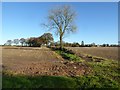 Farmland at Hampton Charles