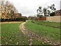 Newcastle-under-Lyme: path behind houses