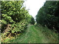 Footpath to Weston