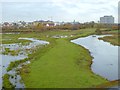 Grazing Marsh, London Wetland Centre