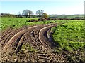 SO5358 : Tyre tracks in a field by Philip Halling