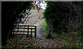 Gate at the North East edge of Blue Close Wood