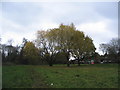 Green space near The Shrubberies