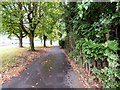 Footpath alongside Simonsway