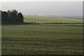 Misty morning fields at Sutton at Hone