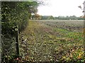 Footpath Off Henham Road