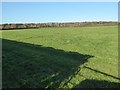 SO5258 : Field near Eaton Hennor by Philip Halling