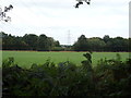 Farmland and pylon