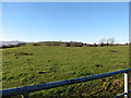 Drumlin topography south of the Levallyreagh Road