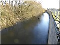 The River Lugg at Ford