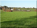 Farmland near Steen