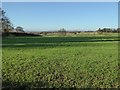 Herefordshire farmland