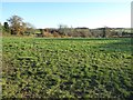 Farmland near Summerhill