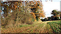 Footpath skirting Castell Wood