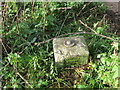 Ordnance Survey Fundamental Bench Mark - Abergavenny