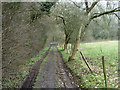 Track and footpath, Dollyper