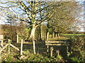 Stile near Woodend House