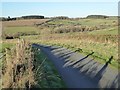 Road to Lower Docklow