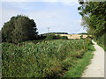 The Grantham Canal near Kinoulton