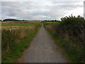 Footpath to Bar Moor