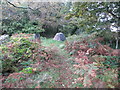 Path and Triangulation Pillar at Buck Stone