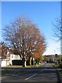 Beeches, Cannon Hill Road