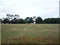 Cricket ground, Upper Green