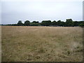 Farmland, Harmer Green