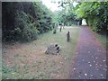 Cemetery path