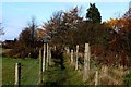 Public Footpath near Acres Hall