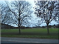 Football field in Brockham